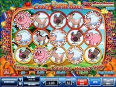 Crazy Farm Race