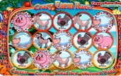 Crazy farm race